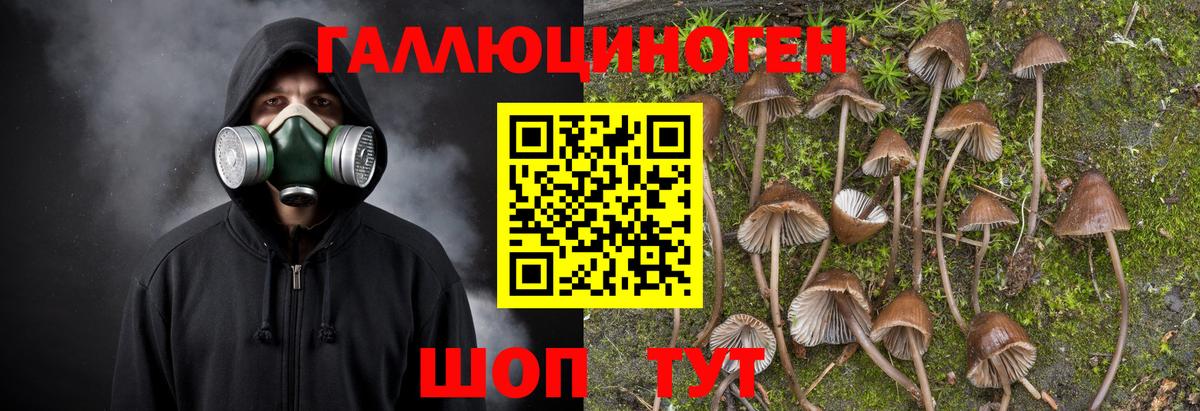 Мирный  цены наркотик  Вход с VPN  Псилоцибиновые грибы мухоморы 